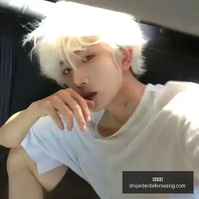 丹麥榮耀,歐洲杯桂冠,新篇章,沙巴体育,沙巴体育平台,沙巴体育App,沙巴体育下载
